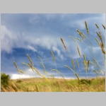 Vista Wallpapers 023.JPG